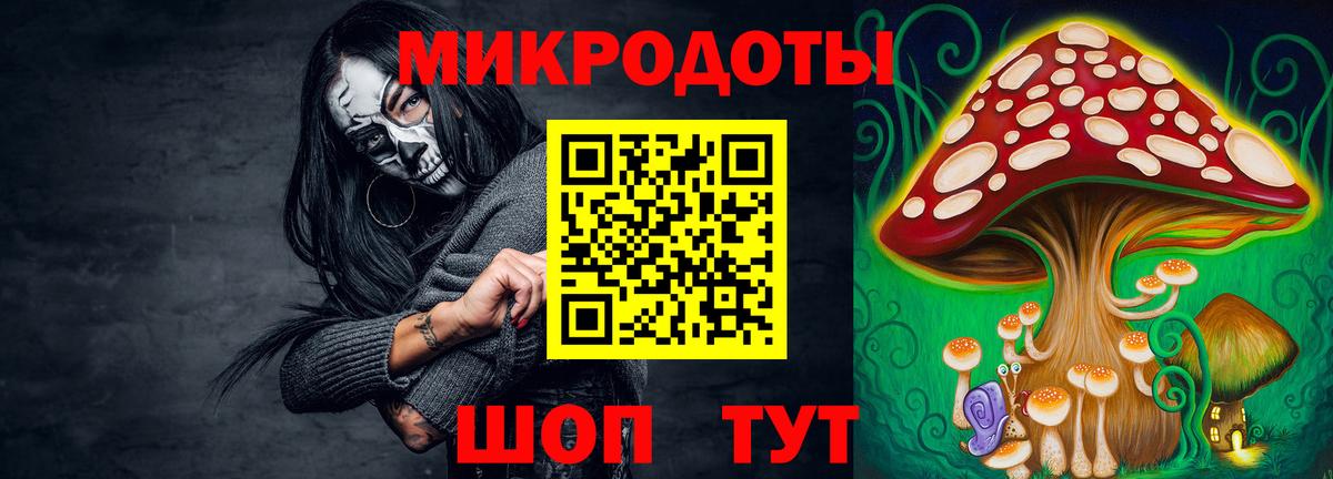 Кандалакша  Галлюциногенные грибы Cubensis  Вход с VPN  наркота  Галлюциногенные грибы GOLDEN TEACHER 