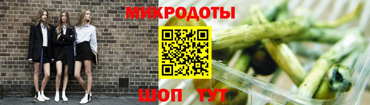Псилоцибиновые грибы Psilocybe Кандалакша